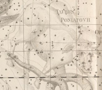 Gwiazdozbiór Ciołek Poniatowskiego. Fragment czarno-białej mapy nieba z publikacji Johanna Elerta Bodego "Uranographia" wydanej w 1801 r. Na pierwszym planie gwiazdy, na drugim rysunek byka. W prawym górnym rogu podpis "Taurus Poniatovii".