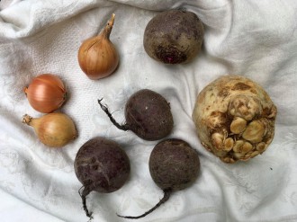 Warzywa rozrzucone na kremowej, pofałdowanej serwecie. Od lewej: trzy cebule, cztery buraki i seler.